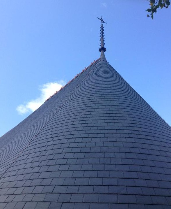 Welsh Cwt-Y-Bugail Blue Grey installed